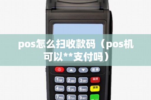 pos怎么掃收款碼(pos機(jī)可以**支付嗎) pos怎么掃收款碼(pos機(jī)可以**支付嗎)